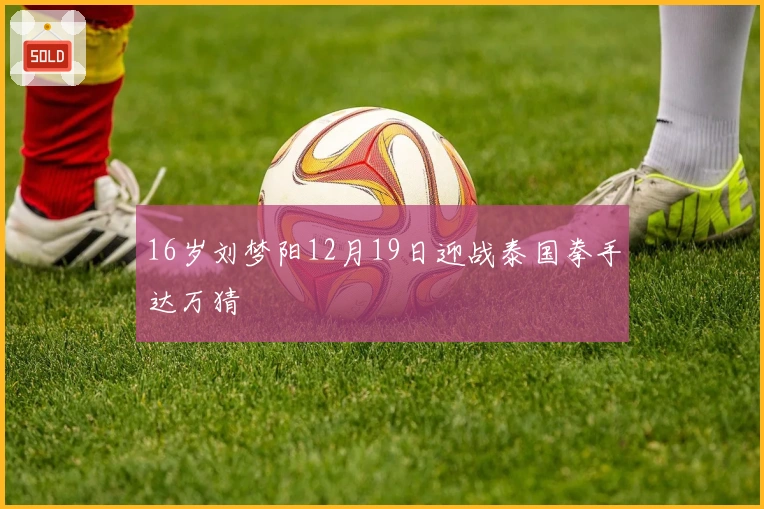 16岁刘梦阳12月19日迎战泰国拳手达万猜