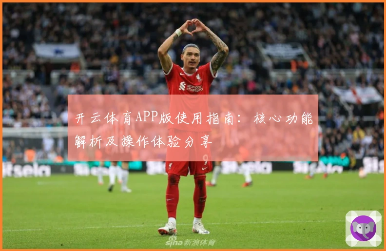 开云体育APP版使用指南：核心功能解析及操作体验分享
