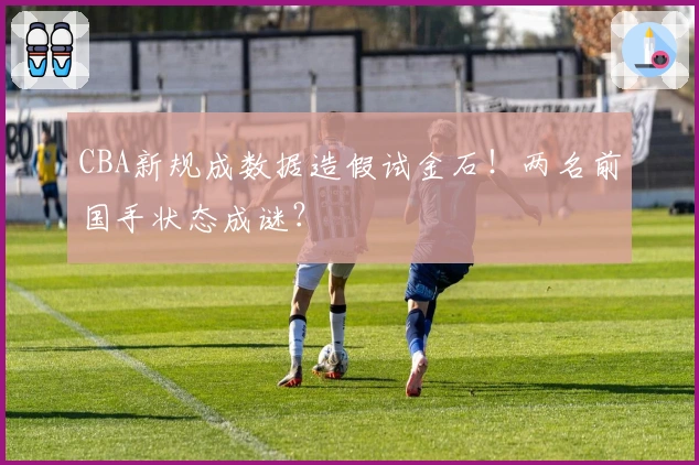 CBA新规成数据造假试金石！两名前国手状态成谜？